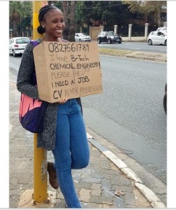 Traffic light job seeker